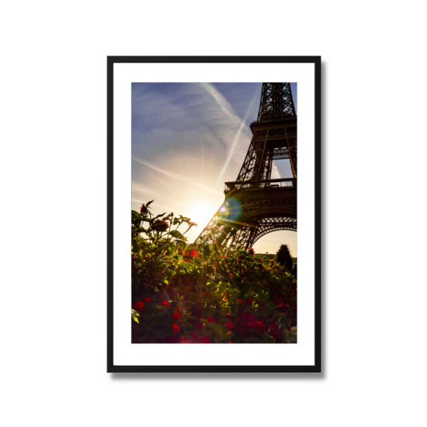 Red Flowers at the Eiffel photo