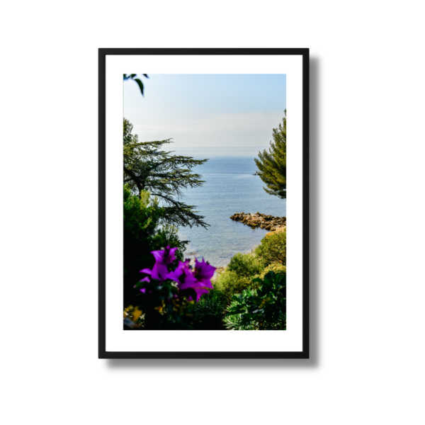 Purple flowers in Bandol Travel Print