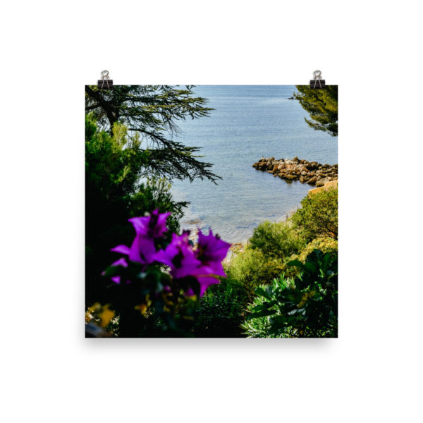 Purple flowers in Bandol Travel Print