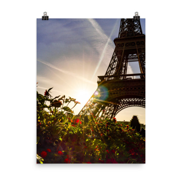 Red flowers Eiffel Tower