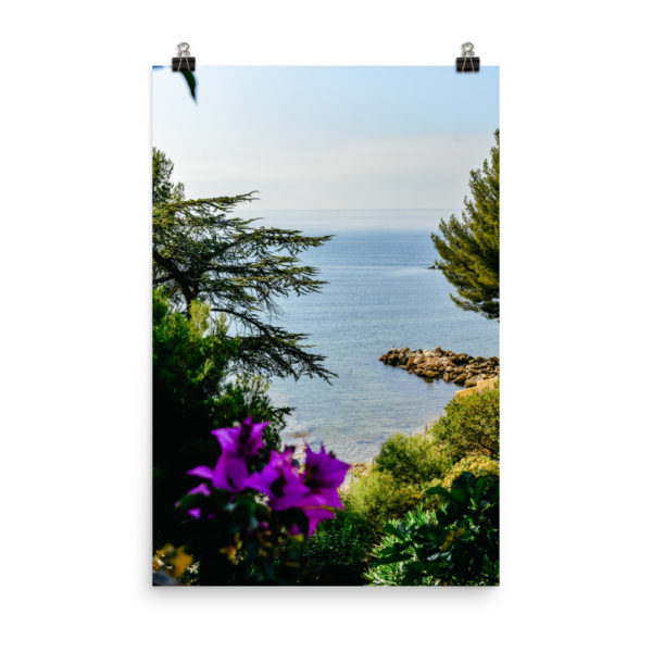 Purple flowers in Bandol Travel Print