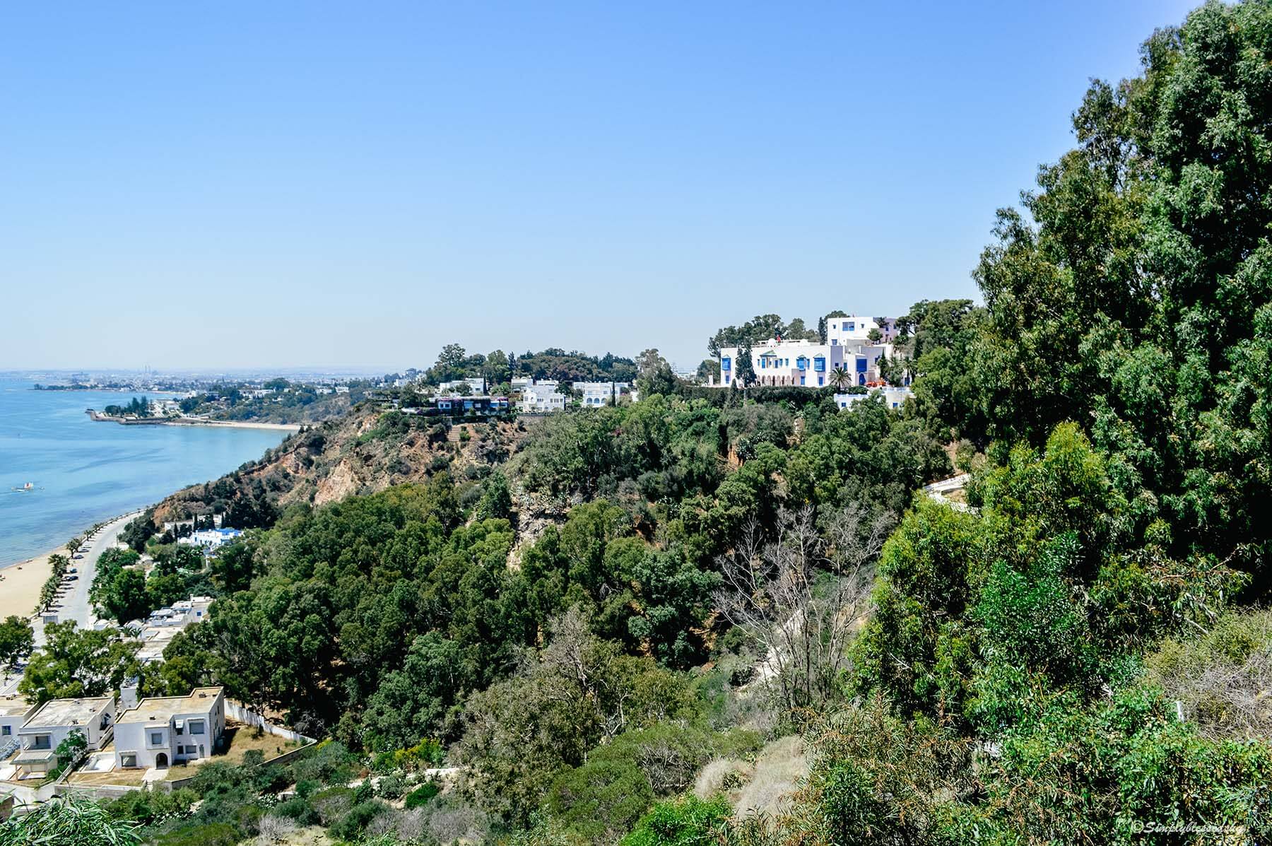 Sidi Bou Saïd Travel Poster 