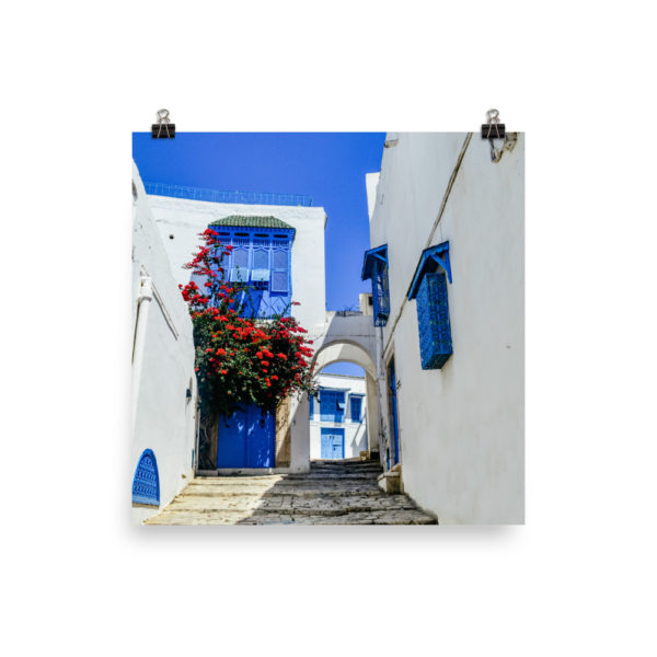 Sidi Bou Saiid - White buildings and blue doors Travel Poster