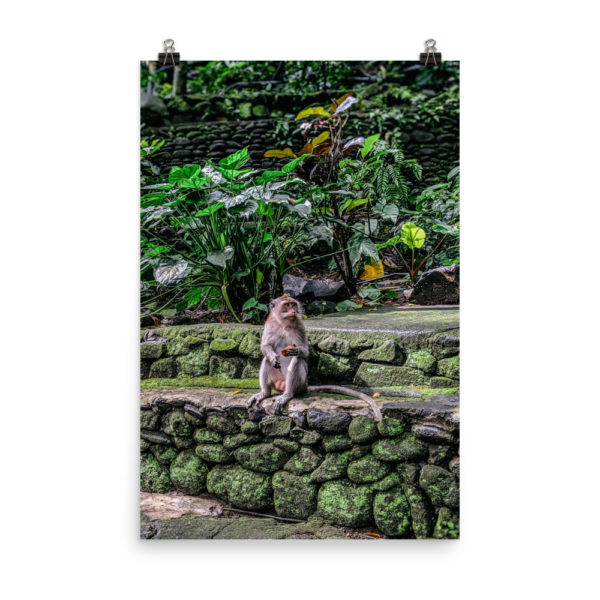 Ubud Bali Travel Poster set of 3