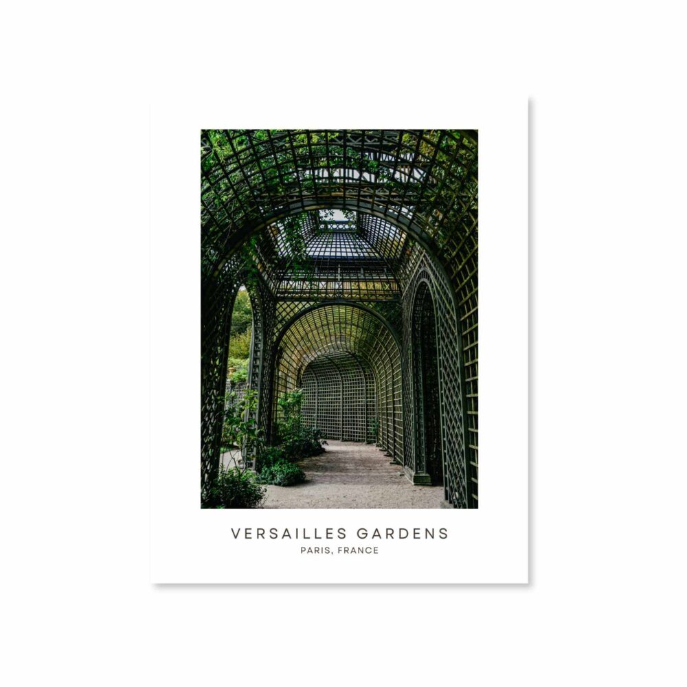 Versailles Gardens Postcard